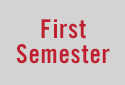 Semester 1
